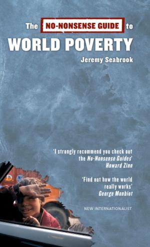 Book cover of The No-Nonsense Guide to World Poverty