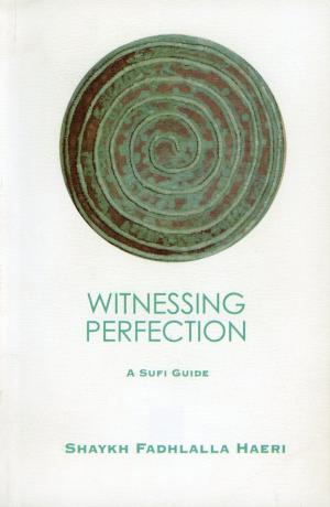 Cover of the book Witnessing Perfection by Shaykh Fadhlalla Haeri, Muna H. Bilgrami