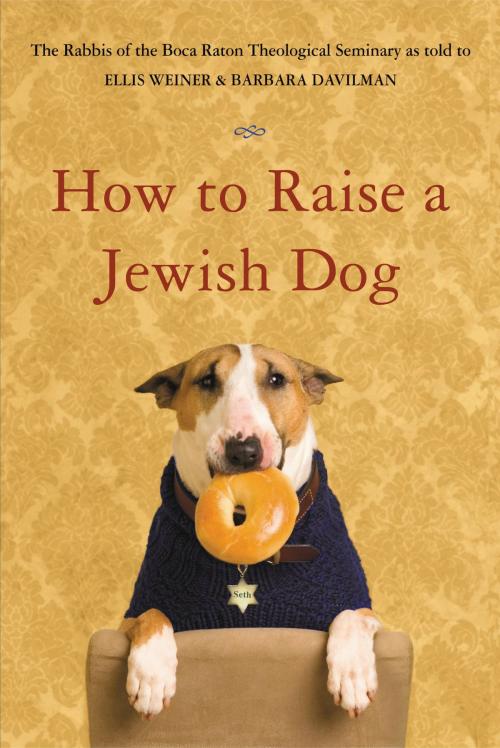 Cover of the book How to Raise a Jewish Dog by Rabbis of Boca Raton Theological Seminary, Ellis Weiner, Barbara Davilman, Little, Brown and Company