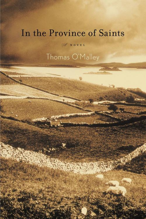 Cover of the book In the Province of Saints by Thomas O'Malley, Little, Brown and Company