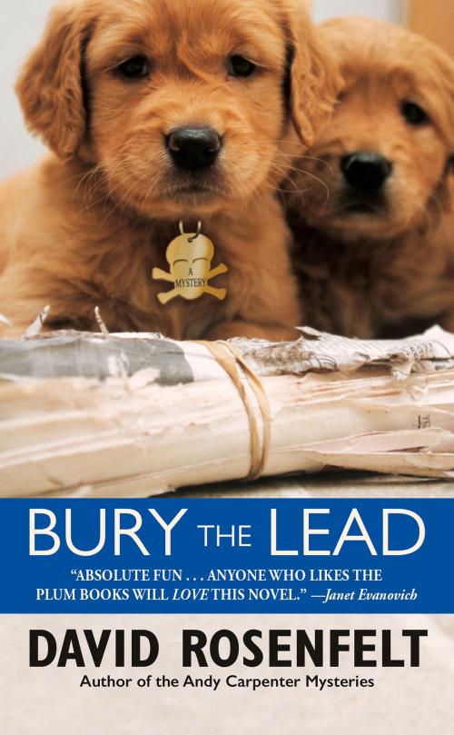 Cover of the book Bury the Lead by David Rosenfelt, Grand Central Publishing