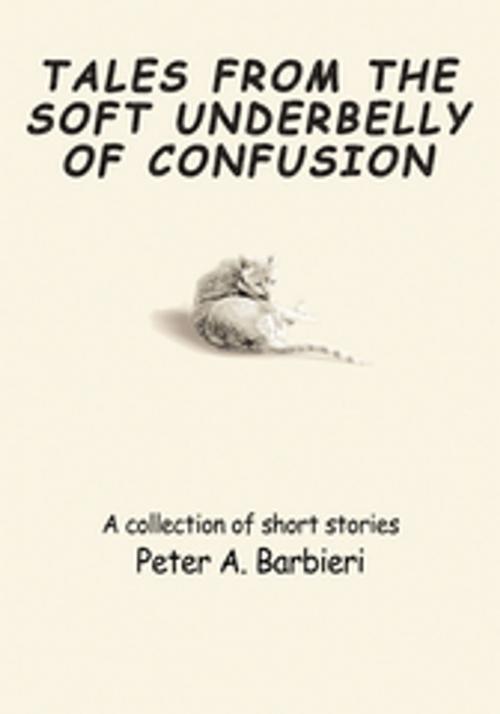 Cover of the book Tales from the Soft Underbelly of  Confusion by Peter A. Barbieri, iUniverse