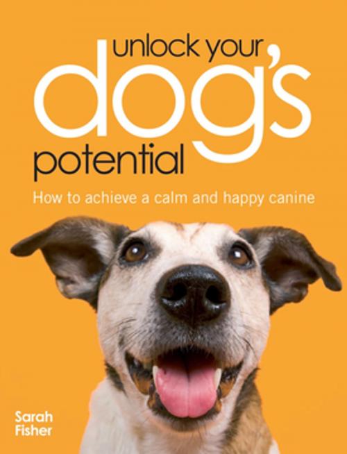 Cover of the book Unlock Your Dog's Potential by Sarah Fisher, F+W Media