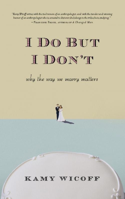 Cover of the book I Do But I Don't by Kamy Wicoff, Hachette Books