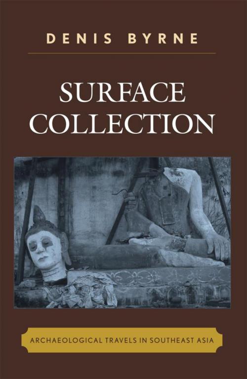 Cover of the book Surface Collection by Denis Byrne, AltaMira Press