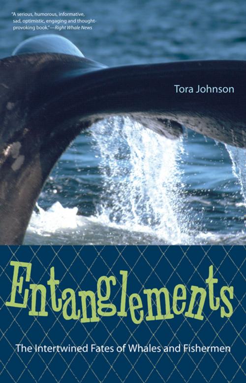 Cover of the book Entanglements by Tora Johnson, University Press of Florida