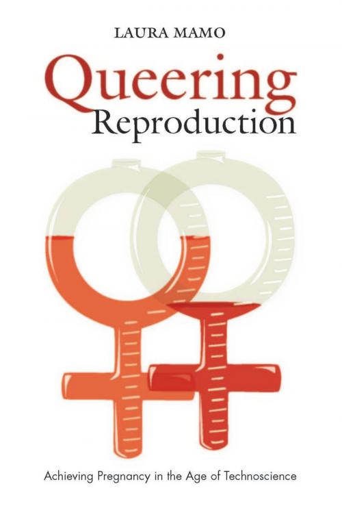 Cover of the book Queering Reproduction by Laura Mamo, Duke University Press