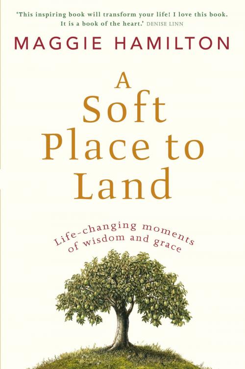 Cover of the book A Soft Place To Land by Maggie Hamilton, Penguin Books Ltd