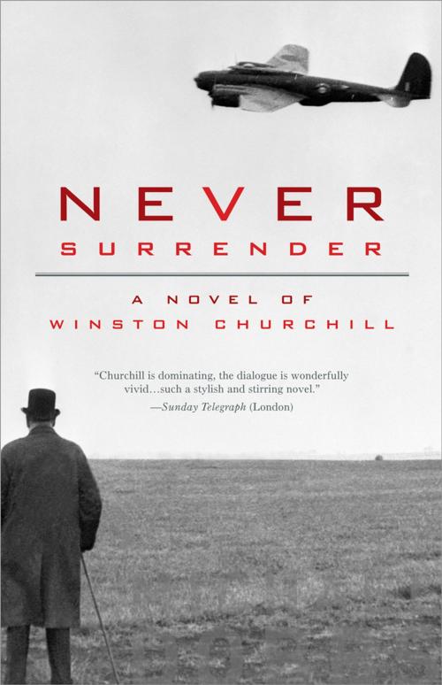 Cover of the book Never Surrender by Michael Dobbs, Sourcebooks