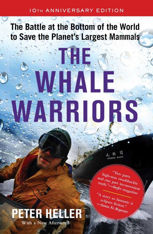 Cover of the book The Whale Warriors by Peter Heller, Free Press