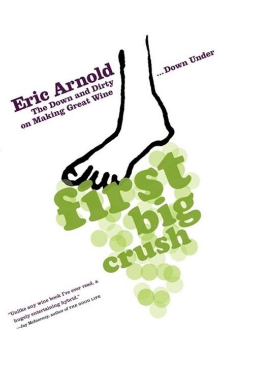 Cover of the book First Big Crush by Eric Arnold, Scribner