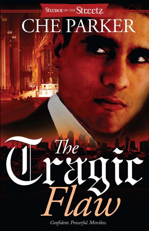 Cover of the book The Tragic Flaw by Che Parker, Strebor Books