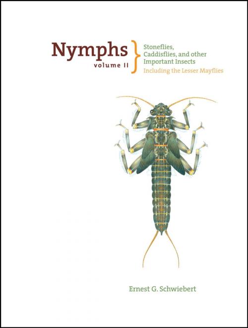 Cover of the book Nymphs, Stoneflies, Caddisflies, and Other Important Insects by Ernest Schwiebert, Lyons Press