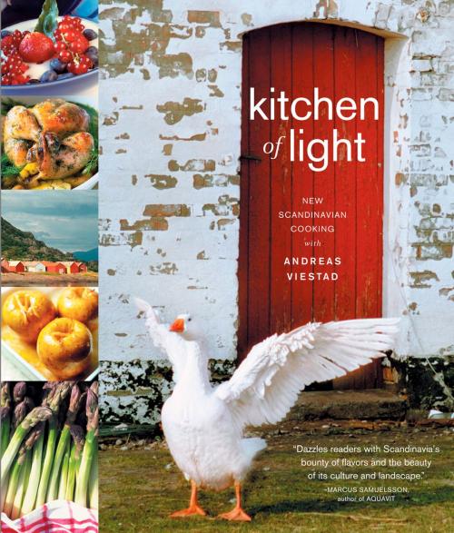 Cover of the book Kitchen of Light by Andreas Viestad, Artisan