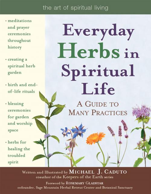 Cover of the book Everyday Herbs in Spiritual Life: A Guide to Many Practices by Michael J. Caduto, SkyLight Paths Publishing