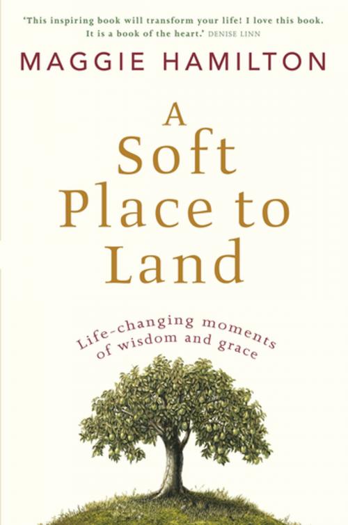 Cover of the book A Soft Place to Land by Maggie Hamilton, Penguin Random House Australia