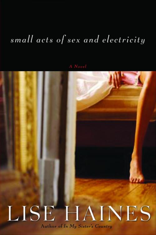Cover of the book Small Acts of Sex and Electricity by Lise Haines, Unbridled Books