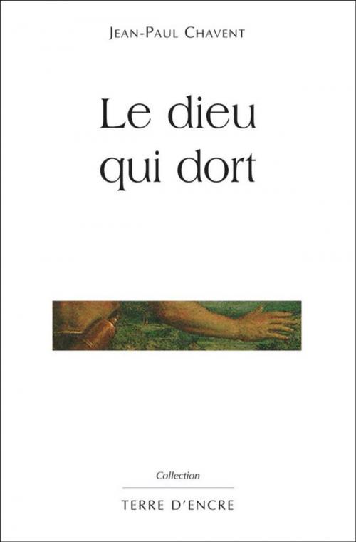 Cover of the book Le dieu qui dort by Jean-Paul Chavent, Editions du Laquet