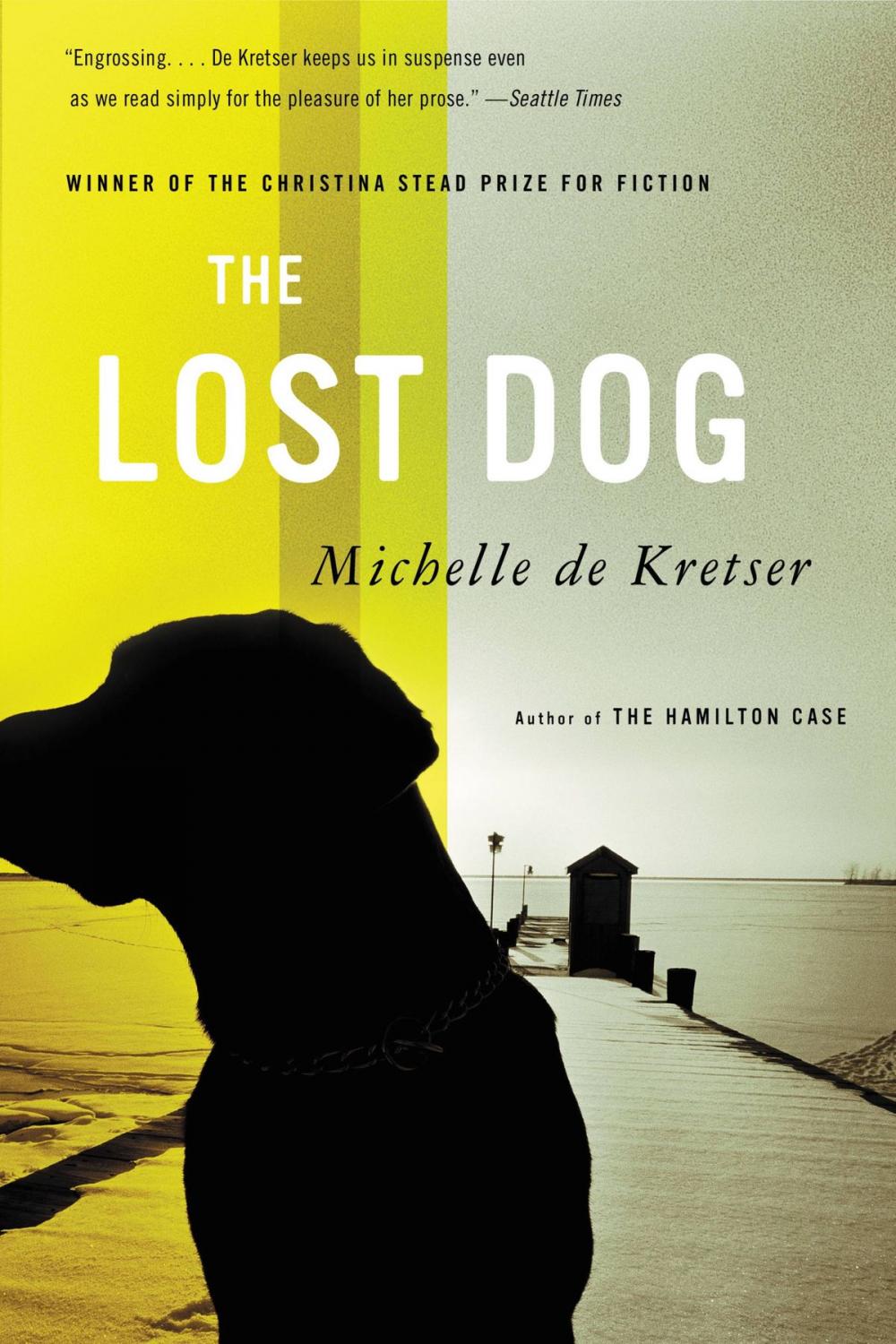 Big bigCover of The Lost Dog