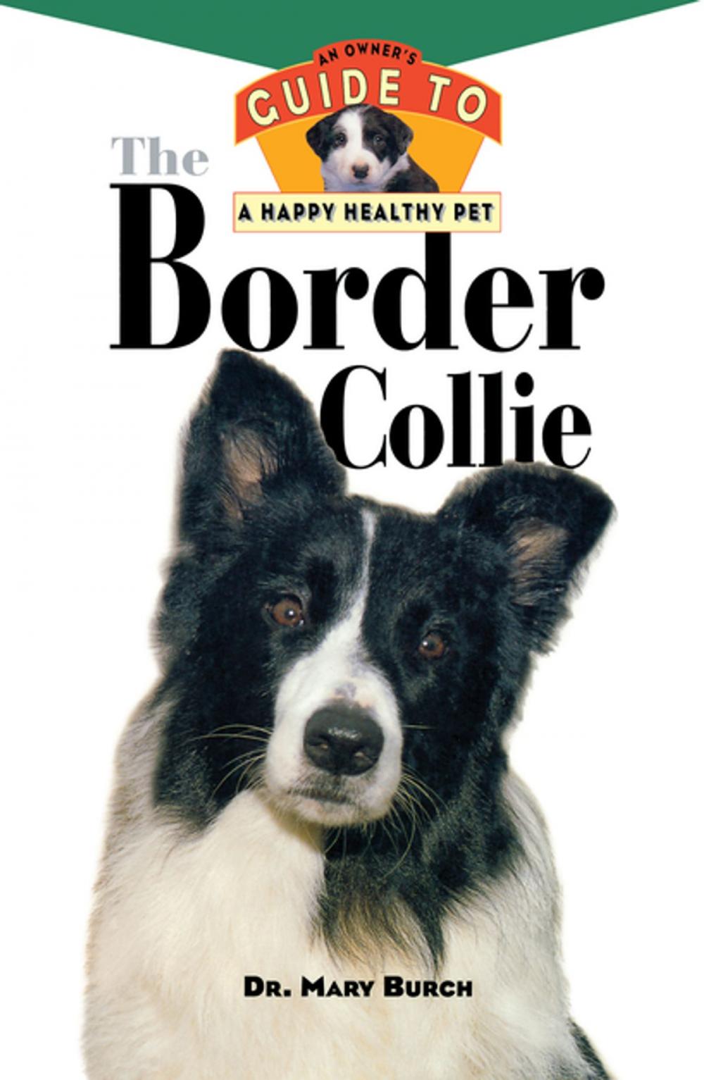 Big bigCover of The Border Collie