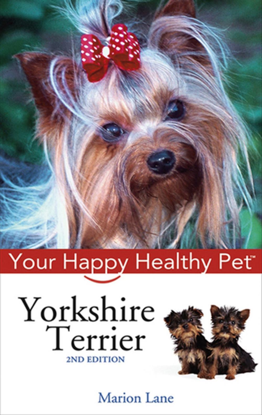 Big bigCover of Yorkshire Terrier