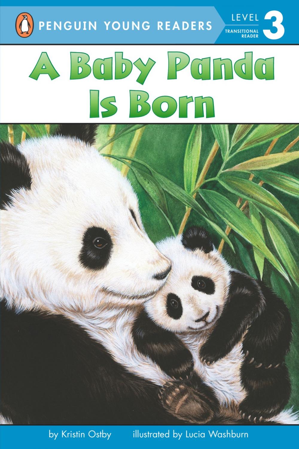 Big bigCover of A Baby Panda Is Born