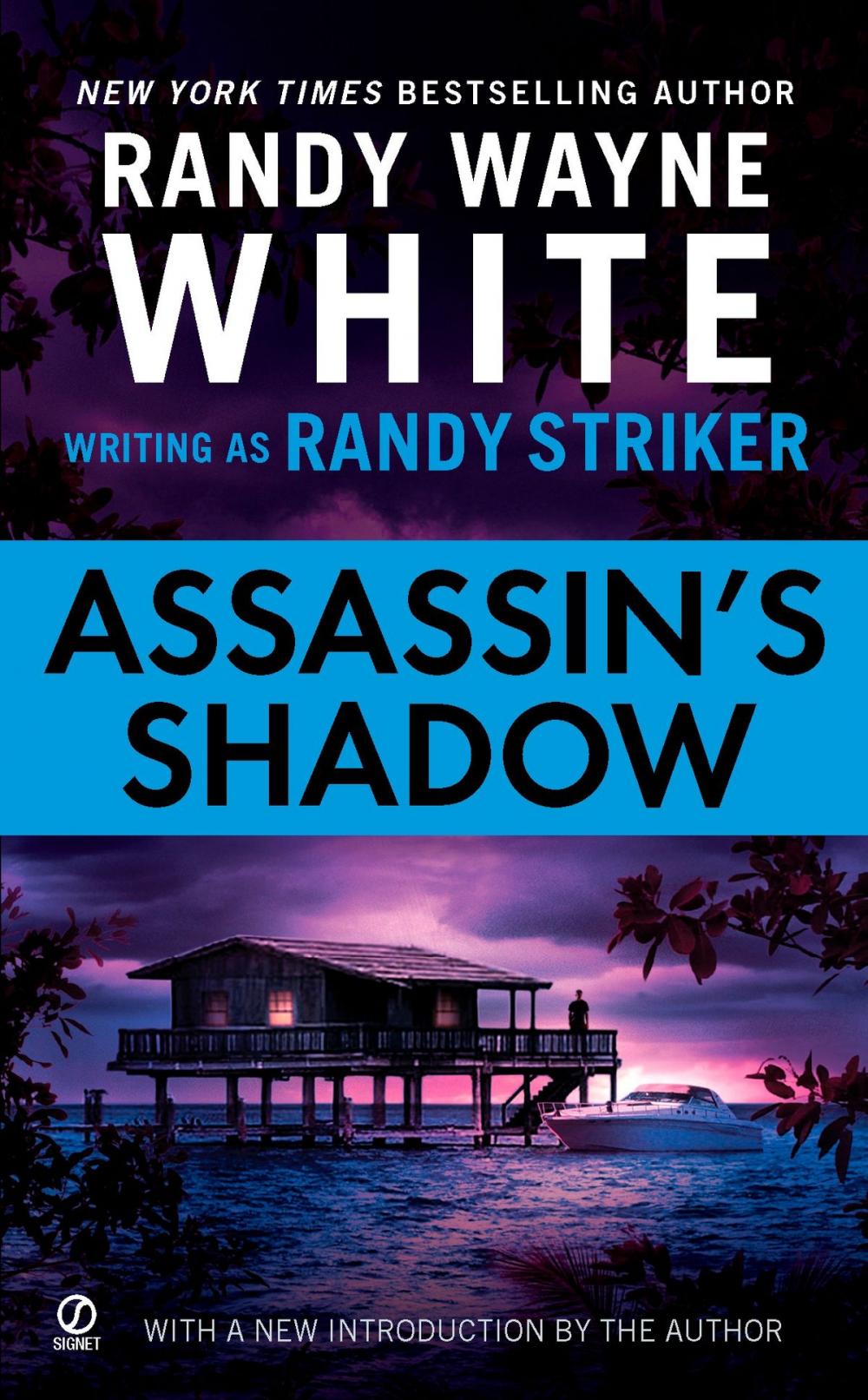 Big bigCover of Assassin's Shadow