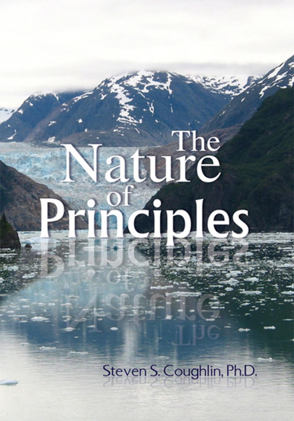 Big bigCover of The Nature of Principles