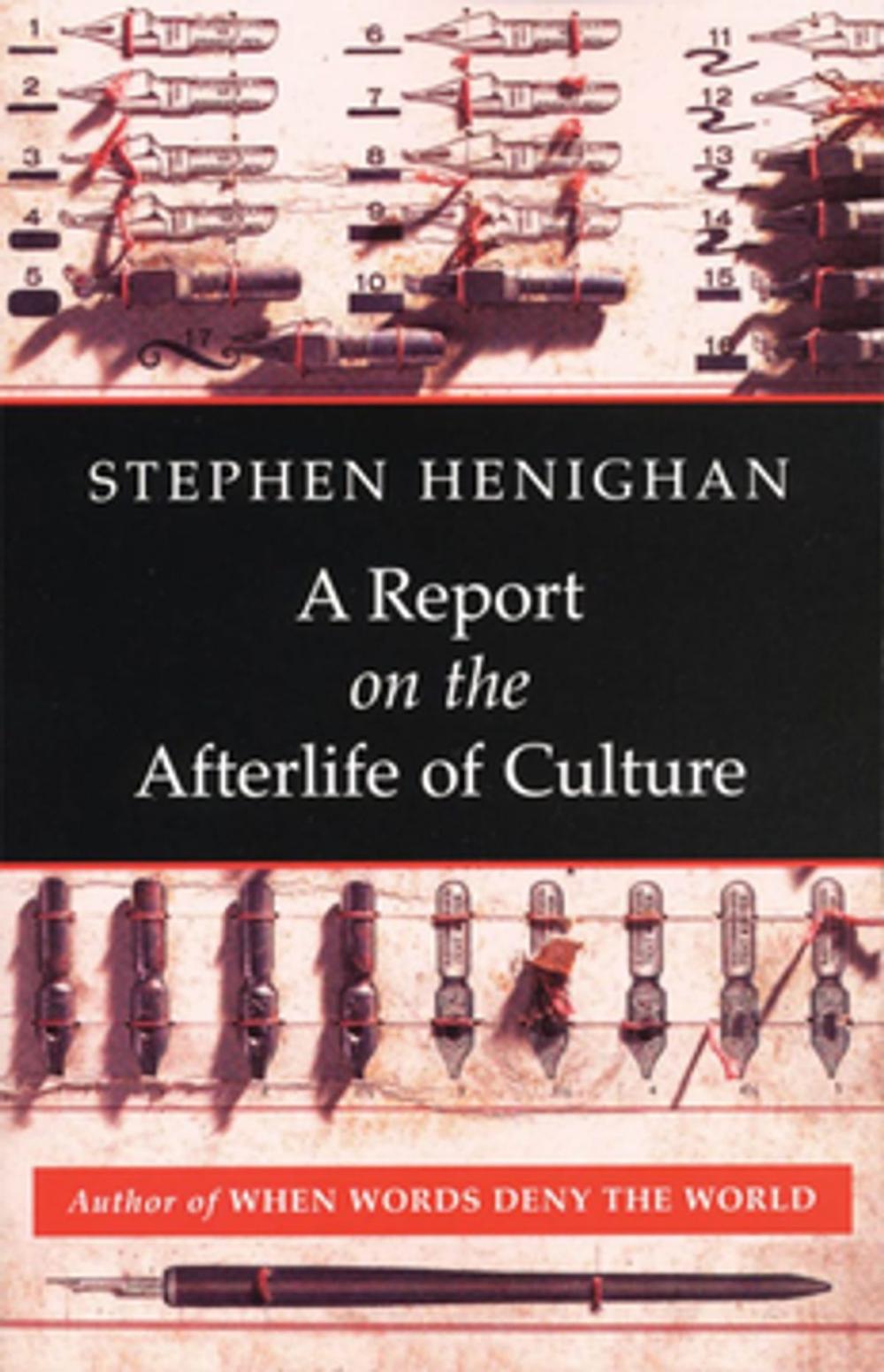 Big bigCover of A Report on the Afterlife of Culture