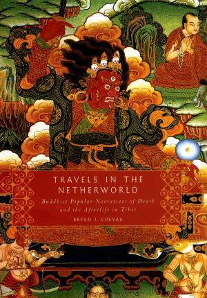 Cover of the book Travels in the Netherworld by Daniel Stoljar