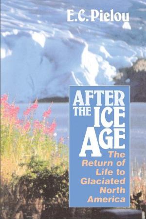 Cover of the book After the Ice Age by Donald S. Lopez Jr.