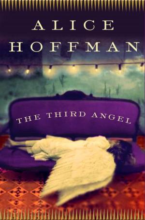 Cover of the book The Third Angel by Hildie McQueen