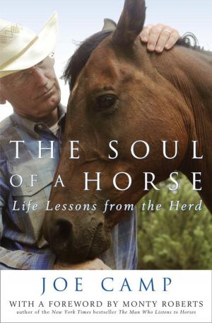 Cover of the book The Soul of a Horse by Jim OHern