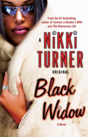 Cover of the book Black Widow by Megan Stine