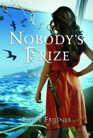 Book cover of Nobody's Prize