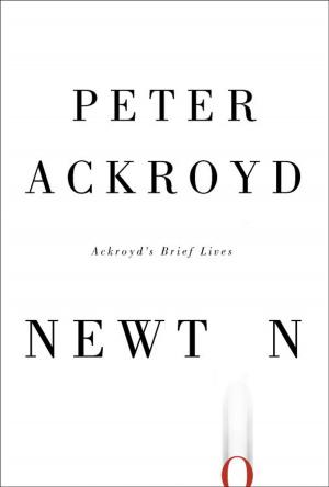 Cover of the book Newton by Richard Lyman Bushman