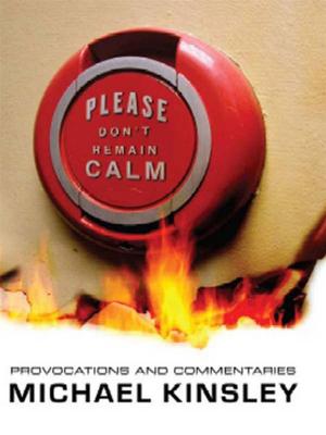 Cover of the book Please Don't Remain Calm: Provocations and Commentaries by Michael McGarrity