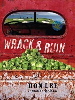 Cover of the book Wrack and Ruin: A Novel by Ulick O'Connor