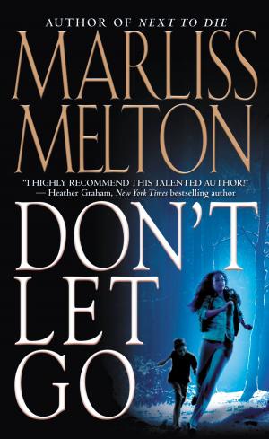Cover of the book Don't Let Go by Howard Lindzon