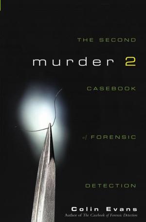 Cover of the book Murder Two by David A. Steenblock, M.S., D.O., Anthony G. Payne