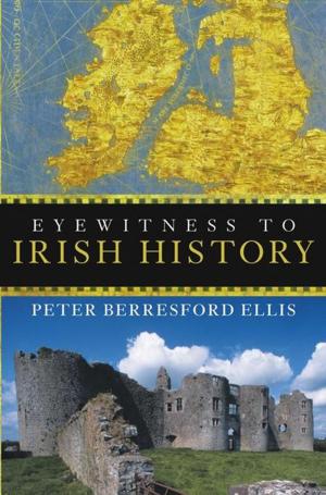 Cover of the book Eyewitness to Irish History by Melissa Averinos