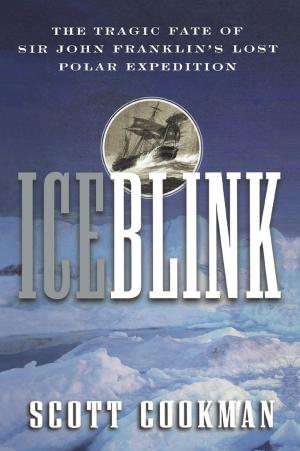 Cover of the book Ice Blink by Mireille Schwartz