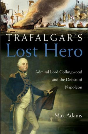Cover of the book Trafalgar's Lost Hero by Elizabeth Scott, Paul Sockett