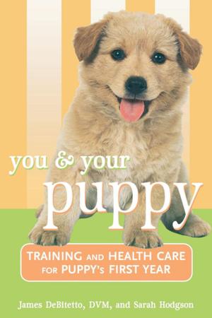 Cover of the book You and Your Puppy by Maggie Powers, MS, RD, CDE