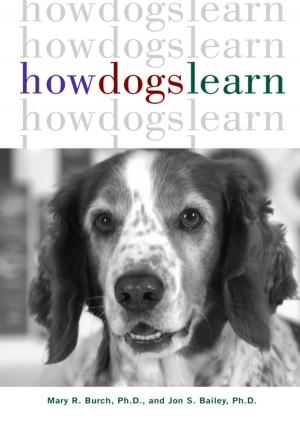 Book cover of How Dogs Learn