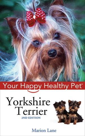 Cover of the book Yorkshire Terrier by Ken Schultz
