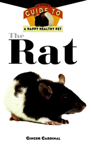 Cover of the book The Rat by Michael E. Silverman