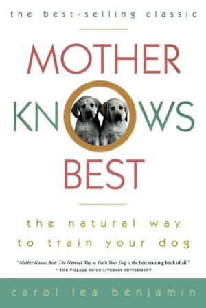 Cover of the book Mother Knows Best by Diana Raab, MFA, RN