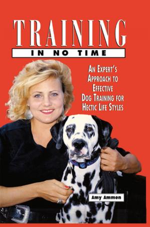 Book cover of Training in No Time