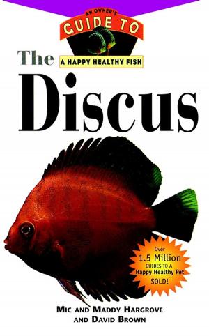 Cover of the book The Discus by Joe Palca, Flora Lichtman